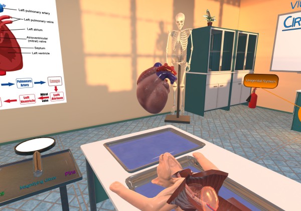 Oculus Quest游戏《解剖模拟器 猫科动物》Dissection Simulator – Cat Edition