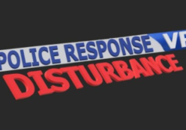 Oculus Quest 游戏《警察应对 VR 干扰》Police Response VR Disturbance